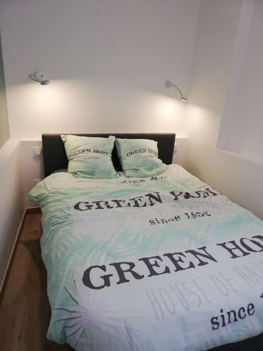 Bel Appartement Coeur De Grenoble Tout Equipe Екстер'єр фото