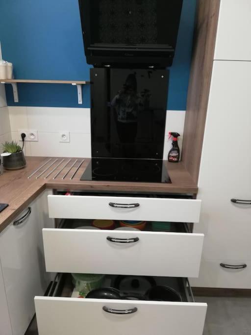 Bel Appartement Coeur De Grenoble Tout Equipe Екстер'єр фото