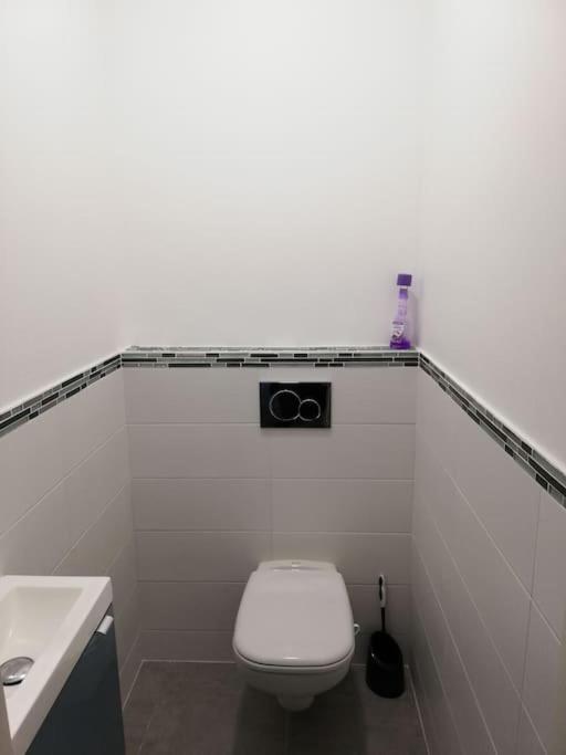 Bel Appartement Coeur De Grenoble Tout Equipe Екстер'єр фото