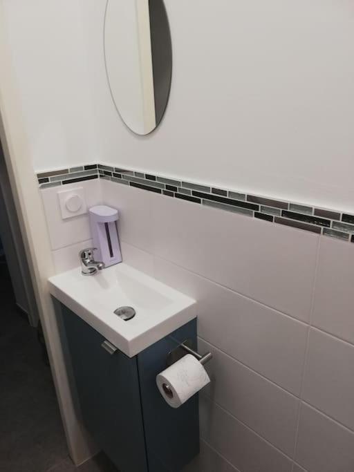Bel Appartement Coeur De Grenoble Tout Equipe Екстер'єр фото